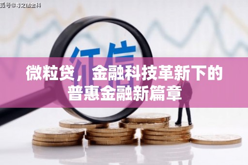 光泽微粒贷，金融科技革新下的普惠金融新篇章