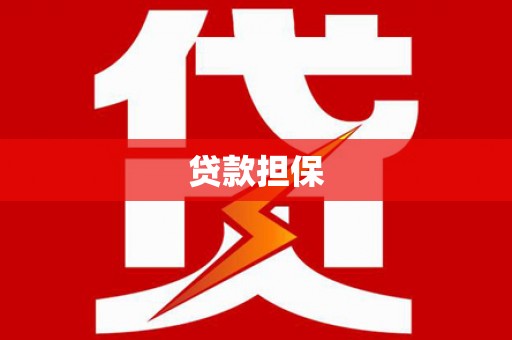 光泽贷款担保