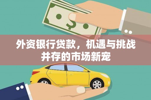 光泽外资银行贷款，机遇与挑战并存的市场新宠