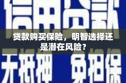光泽贷款购买保险，明智选择还是潜在风险？