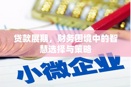 光泽贷款展期，财务困境中的智慧选择与策略
