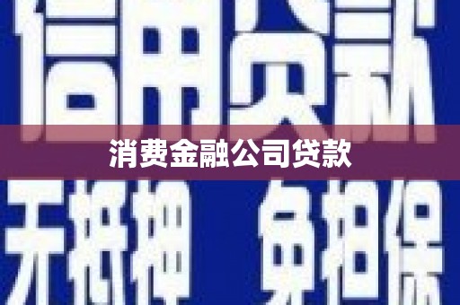 光泽消费金融公司贷款
