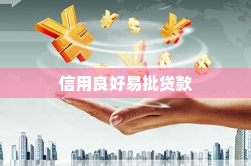 光泽信用良好易批贷款