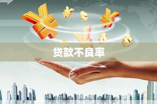 光泽贷款不良率