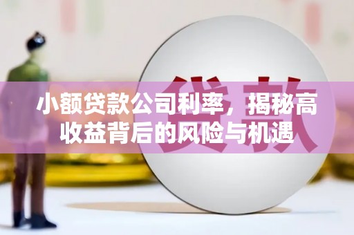 光泽小额贷款公司利率，揭秘高收益背后的风险与机遇
