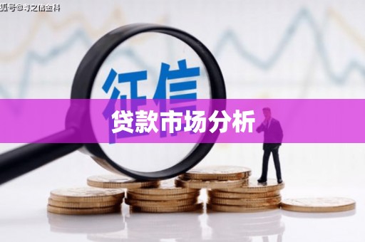 光泽贷款市场分析