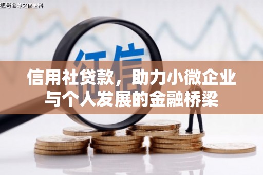 光泽信用社贷款，助力小微企业与个人发展的金融桥梁