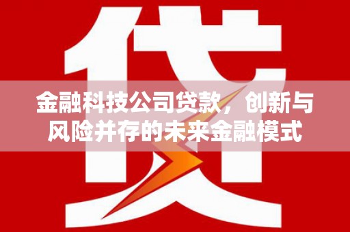 光泽金融科技公司贷款，创新与风险并存的未来金融模式