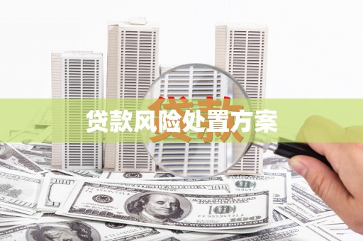 光泽贷款风险处置方案