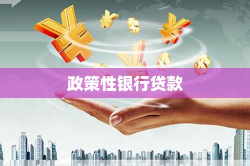 光泽政策性银行贷款