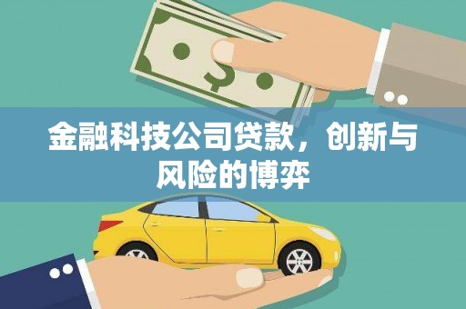 光泽金融科技公司贷款，创新与风险的博弈