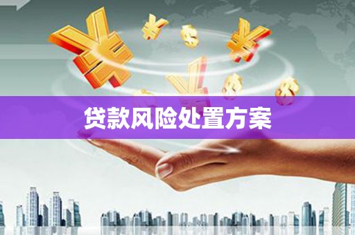 光泽贷款风险处置方案