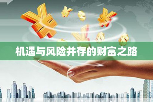 光泽机遇与风险并存的财富之路