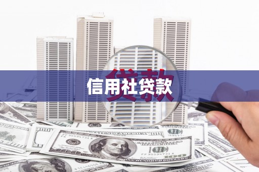 光泽信用社贷款