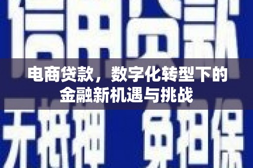 光泽电商贷款，数字化转型下的金融新机遇与挑战