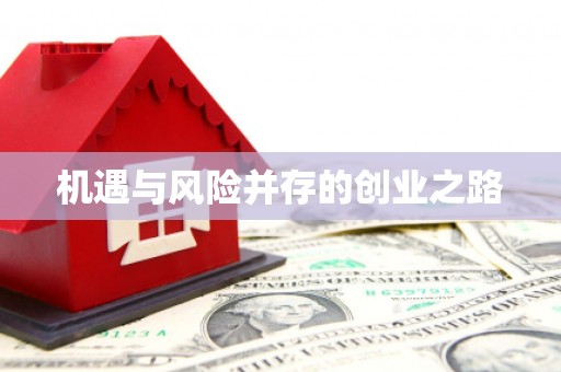 光泽机遇与风险并存的创业之路