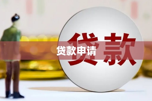 光泽贷款申请
