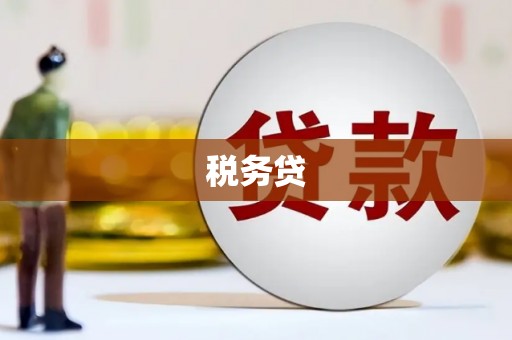 光泽税务贷