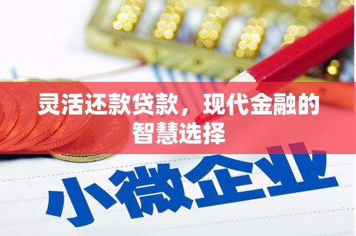 光泽灵活还款贷款，现代金融的智慧选择
