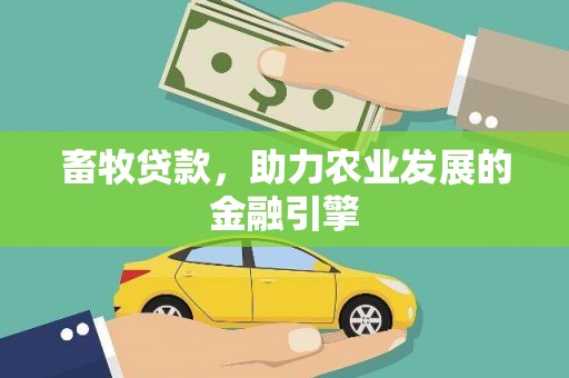 光泽畜牧贷款，助力农业发展的金融引擎