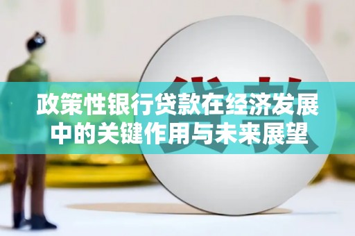 光泽政策性银行贷款在经济发展中的关键作用与未来展望