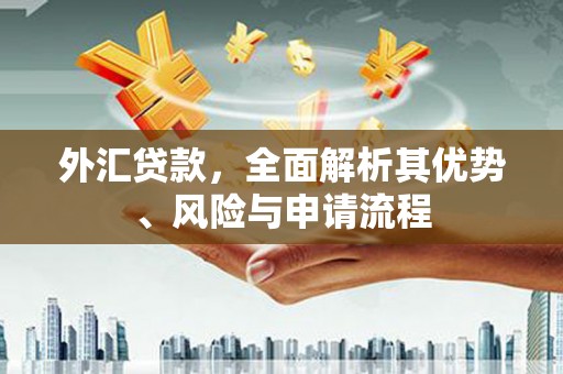 光泽外汇贷款，全面解析其优势、风险与申请流程