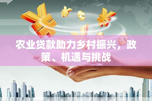 光泽农业贷款助力乡村振兴，政策、机遇与挑战