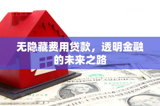 光泽无隐藏费用贷款，透明金融的未来之路