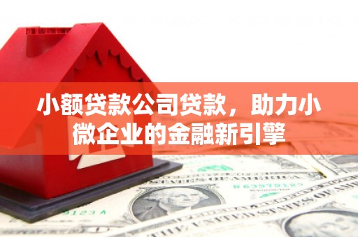 光泽小额贷款公司贷款，助力小微企业的金融新引擎