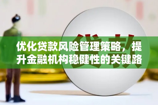 光泽优化贷款风险管理策略，提升金融机构稳健性的关键路径