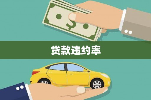 光泽贷款违约率