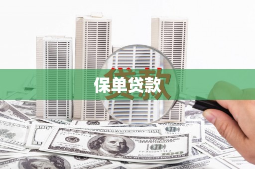 光泽保单贷款
