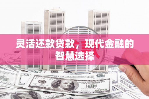 光泽灵活还款贷款，现代金融的智慧选择