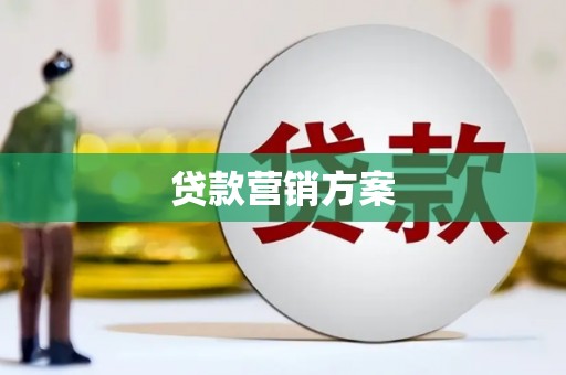 光泽贷款营销方案