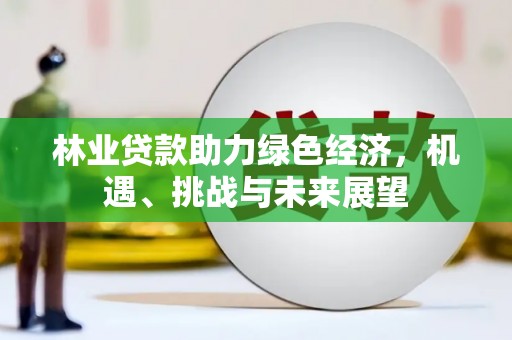 光泽林业贷款助力绿色经济，机遇、挑战与未来展望