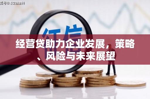 光泽经营贷助力企业发展，策略、风险与未来展望
