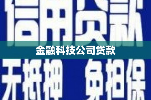 光泽金融科技公司贷款