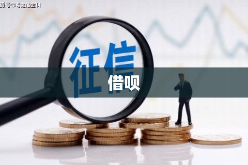 光泽借呗