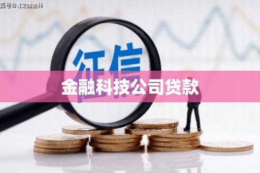 光泽金融科技公司贷款