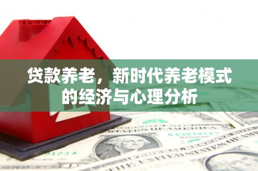 光泽贷款养老，新时代养老模式的经济与心理分析
