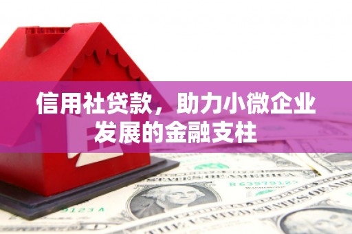 光泽信用社贷款，助力小微企业发展的金融支柱