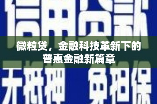 光泽微粒贷，金融科技革新下的普惠金融新篇章