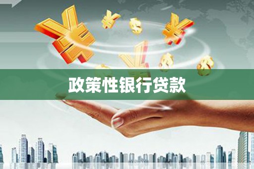 光泽政策性银行贷款