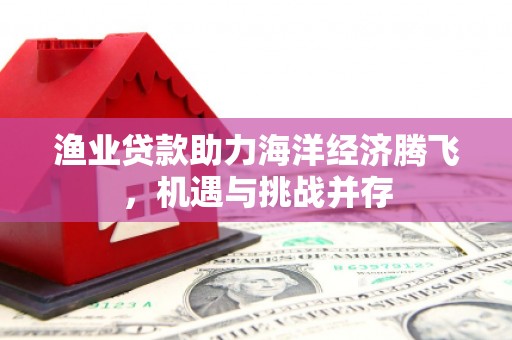 光泽渔业贷款助力海洋经济腾飞，机遇与挑战并存