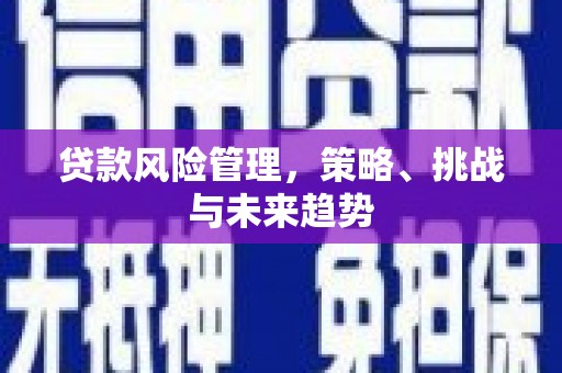 光泽贷款风险管理，策略、挑战与未来趋势