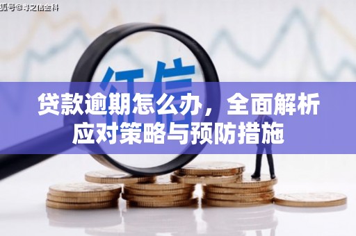 光泽贷款逾期怎么办，全面解析应对策略与预防措施
