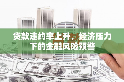 光泽贷款违约率上升，经济压力下的金融风险预警