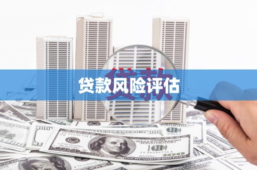 光泽贷款风险评估