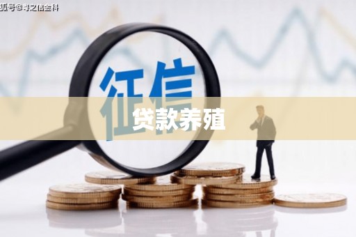 光泽贷款养殖