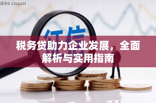 光泽税务贷助力企业发展，全面解析与实用指南